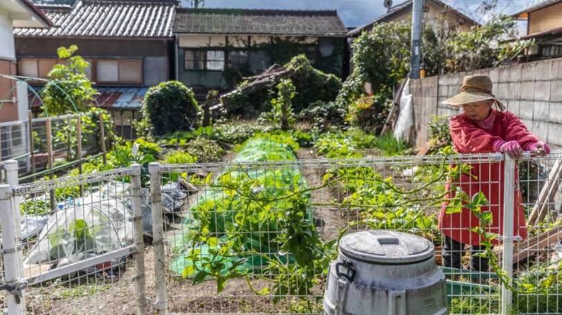 Japanese Rural Garden Area 